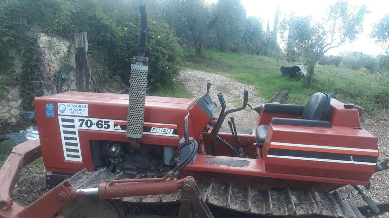 FIAT 70-65 C M MONTAGNA LAMA APRIPISTA-5.jpg